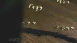 2 сезон 8 серия