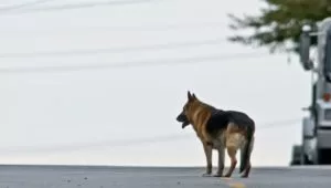 6 сезон 8 серия